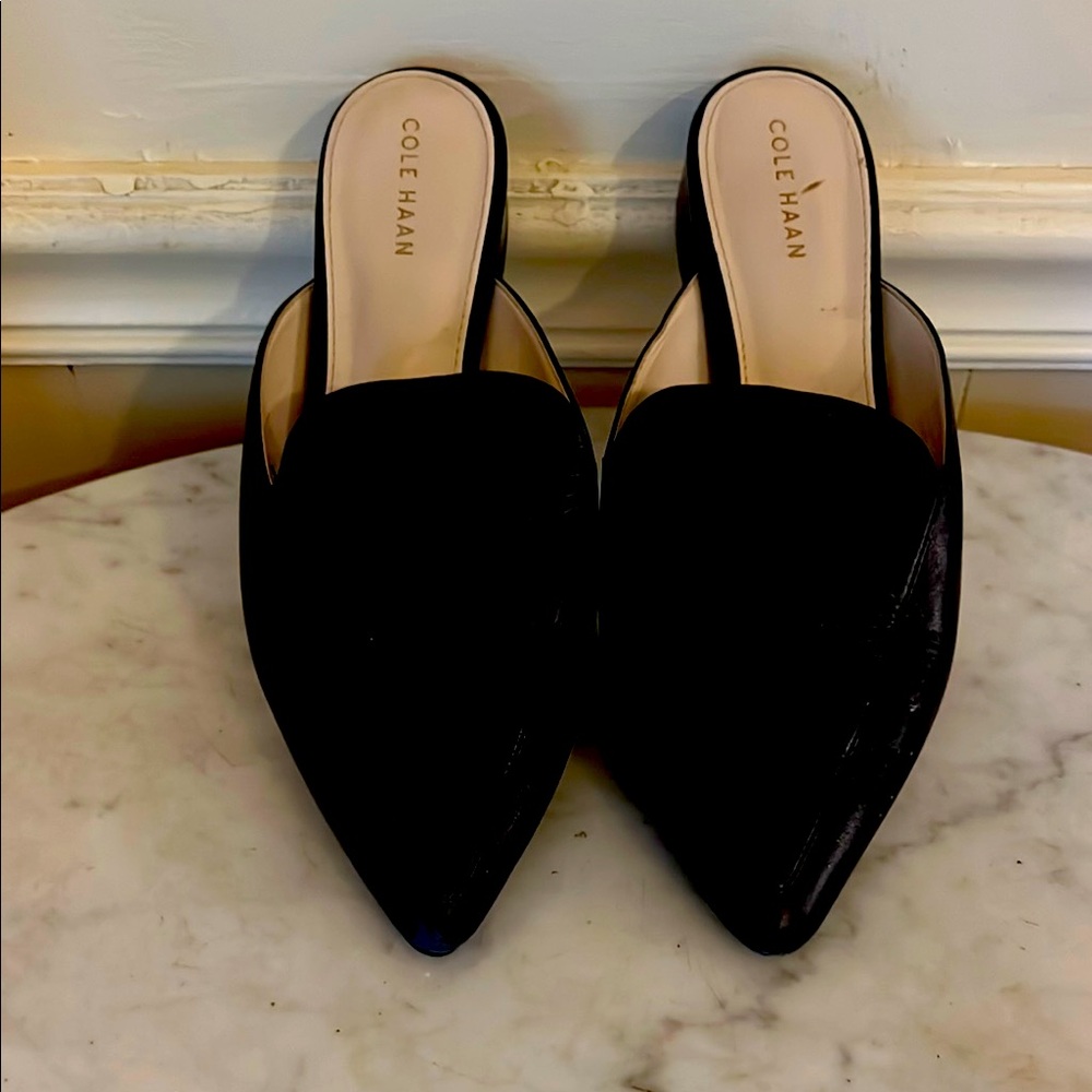 Cole Haan Black Pointed-Toe Backless Mules